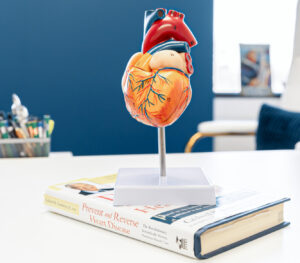 A model of the human heart sits on a book detailing instructions for managing heart failure disease.