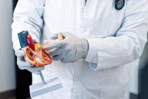 A blood pressure doctor in Vienna explains heart disease using a plastic model.